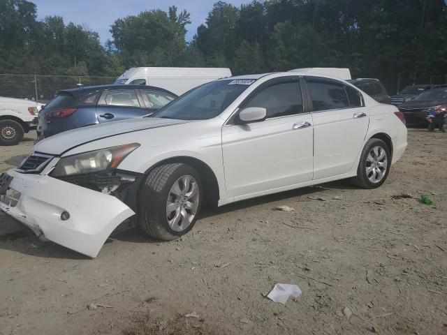 HONDA ACCORD EXL 2008 1hgcp36858a025636