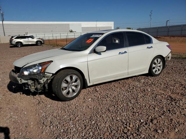 HONDA ACCORD 2008 1hgcp36858a059902