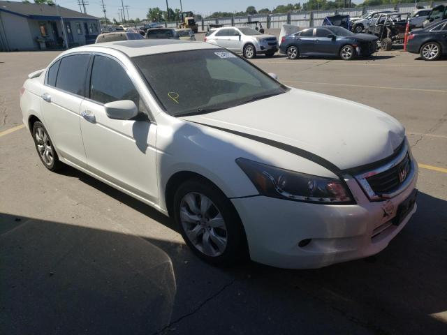 HONDA ACCORD EXL 2008 1hgcp36858a063139