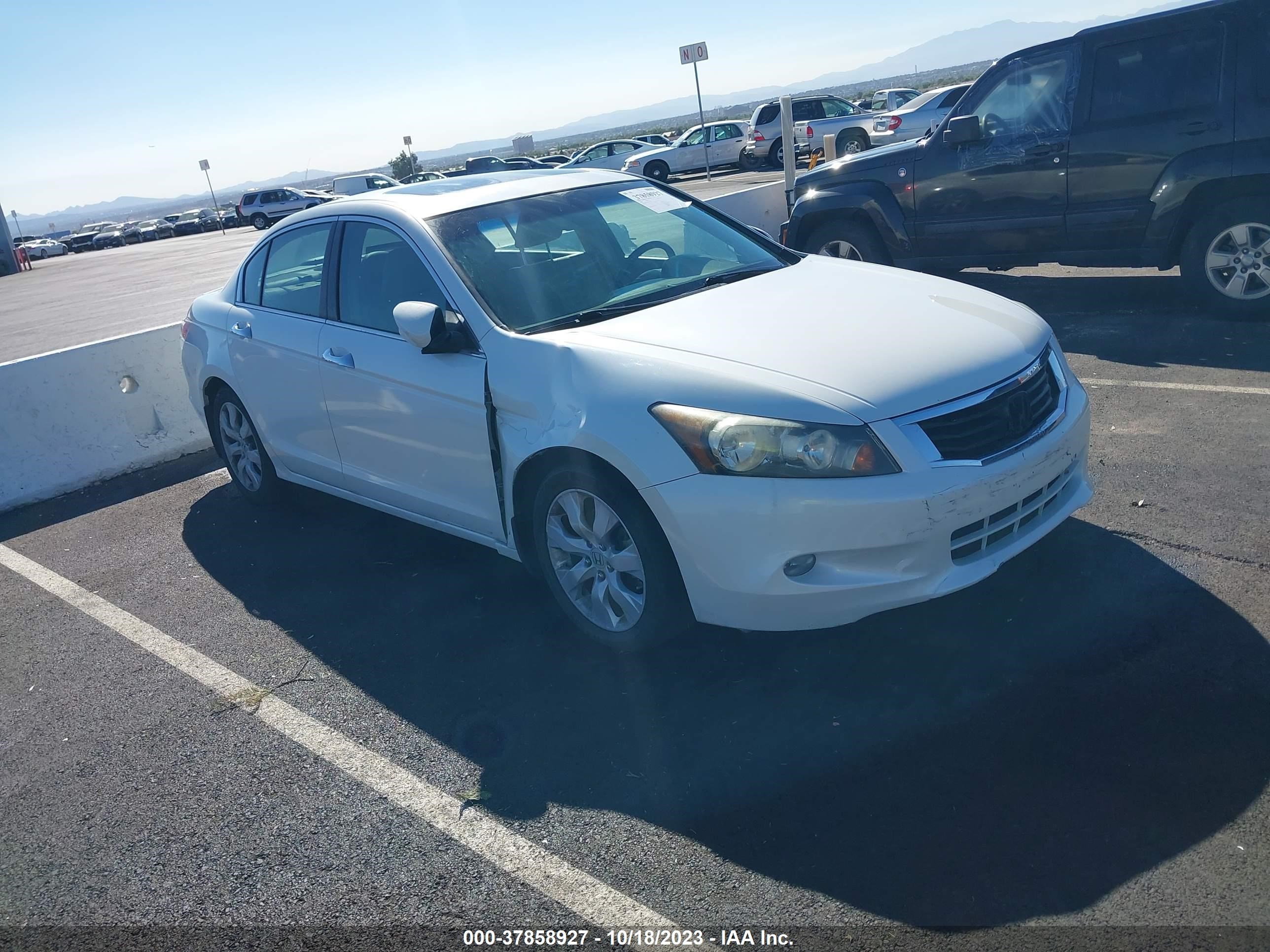 HONDA ACCORD 2009 1hgcp36859a016551