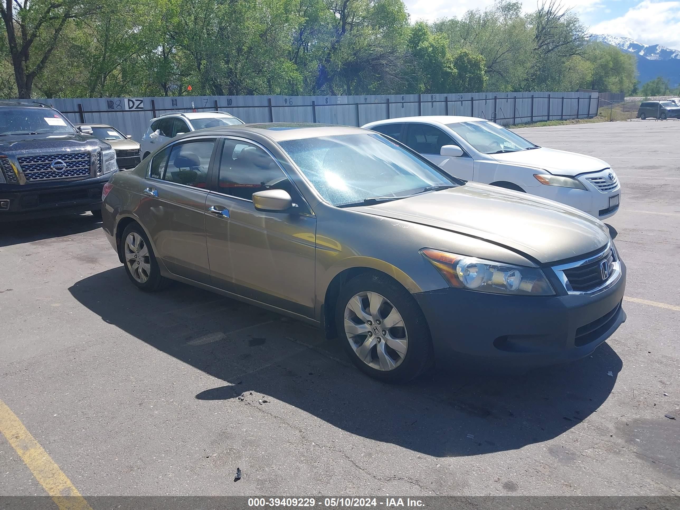 HONDA ACCORD 2009 1hgcp36859a018672