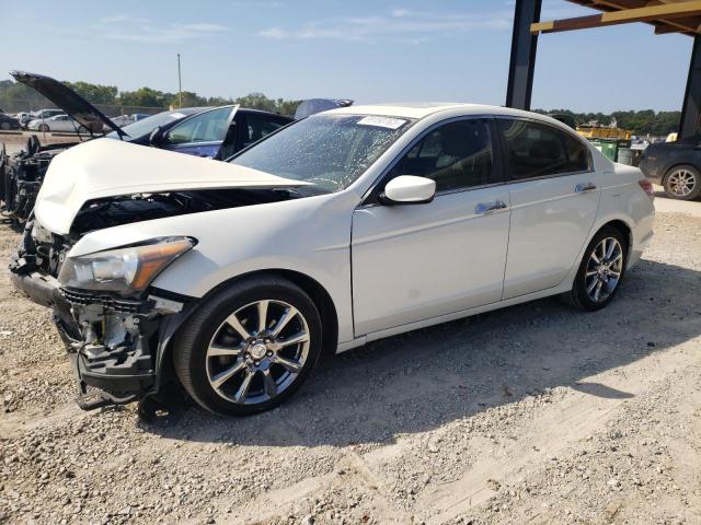 HONDA ACCORD EXL 2009 1hgcp36859a046813