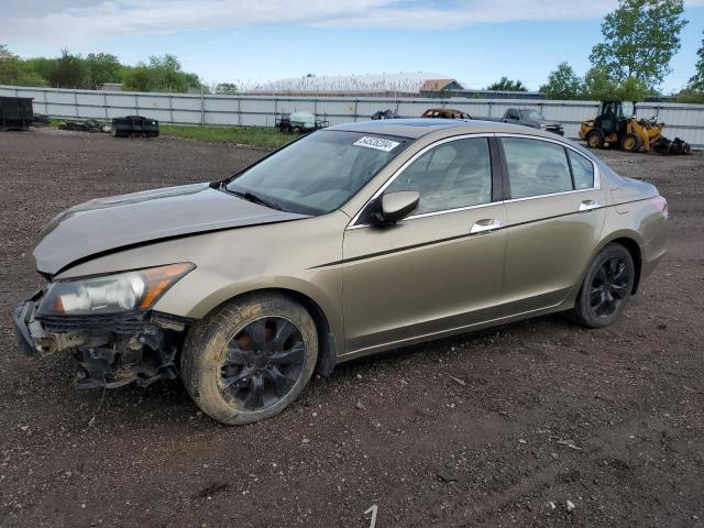 HONDA ACCORD 2008 1hgcp36868a006061