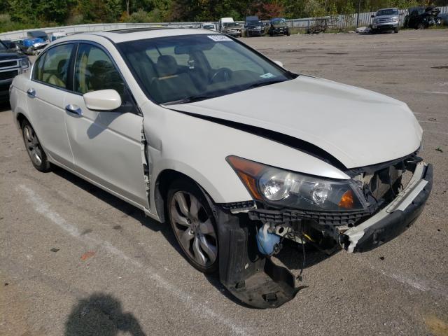 HONDA ACCORD EXL 2008 1hgcp36868a012815