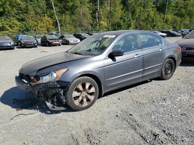 HONDA ACCORD EXL 2008 1hgcp36868a062453