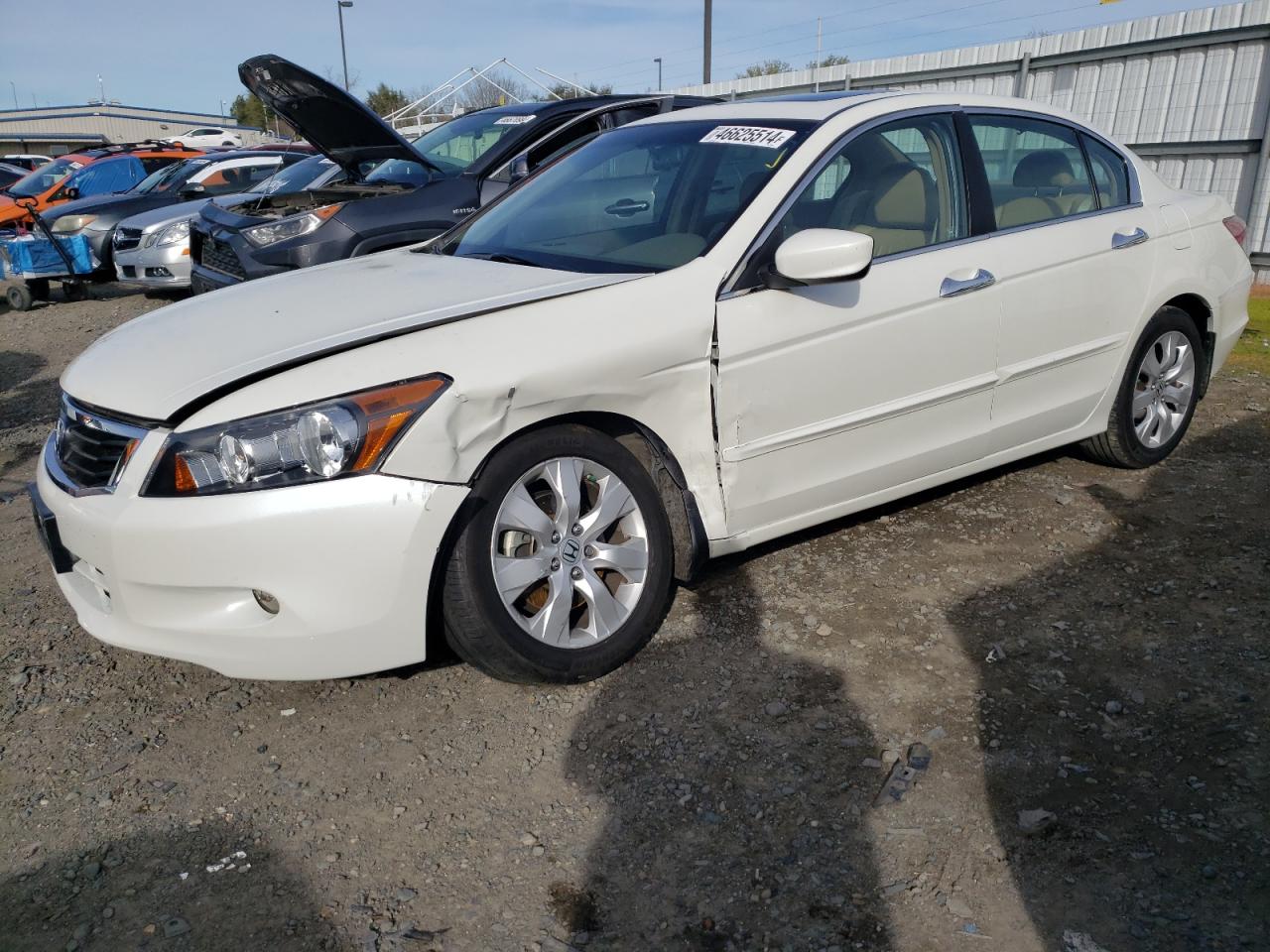 HONDA ACCORD 2008 1hgcp36868a077342