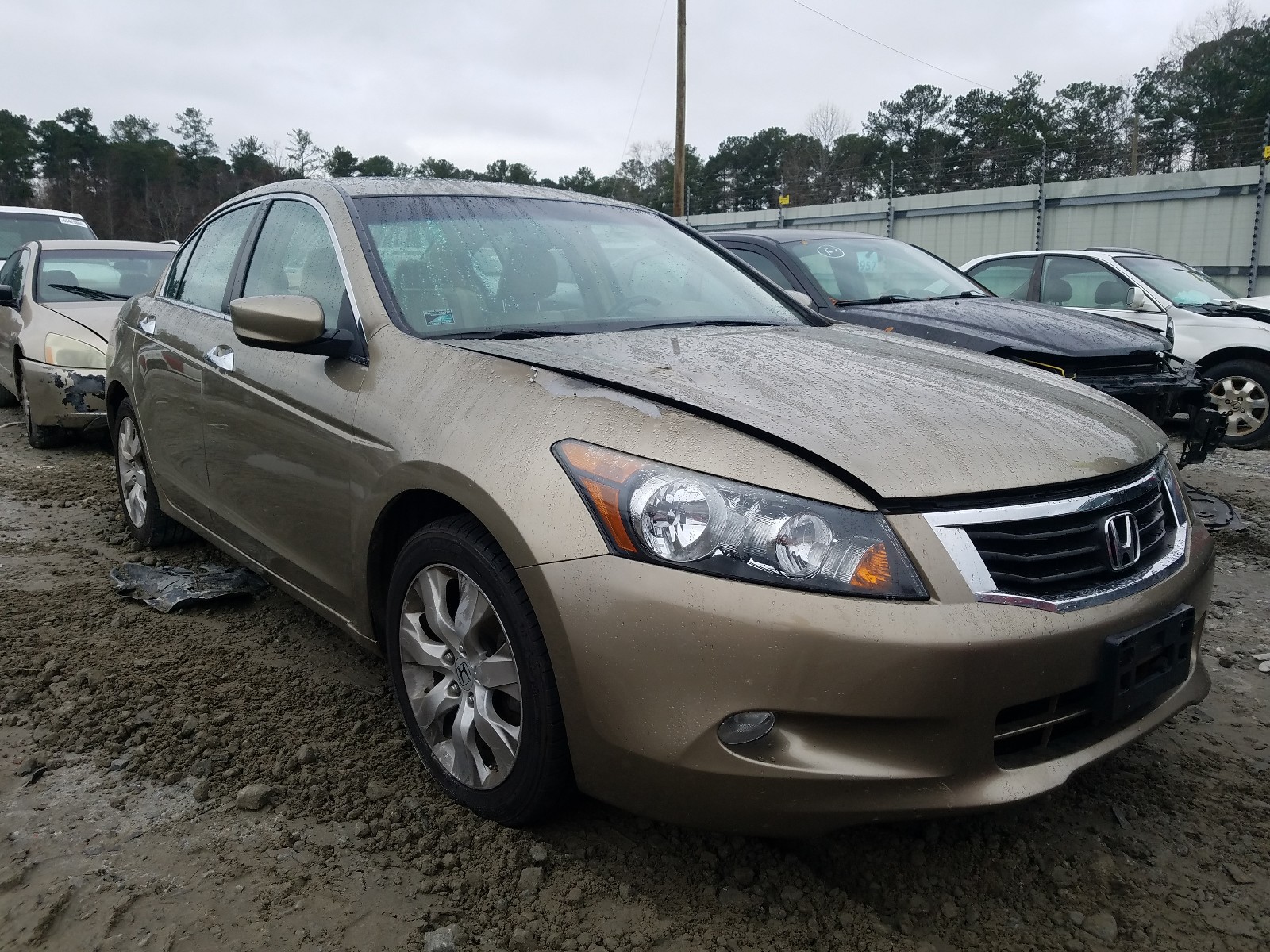 HONDA ACCORD EXL 2008 1hgcp36868a083397