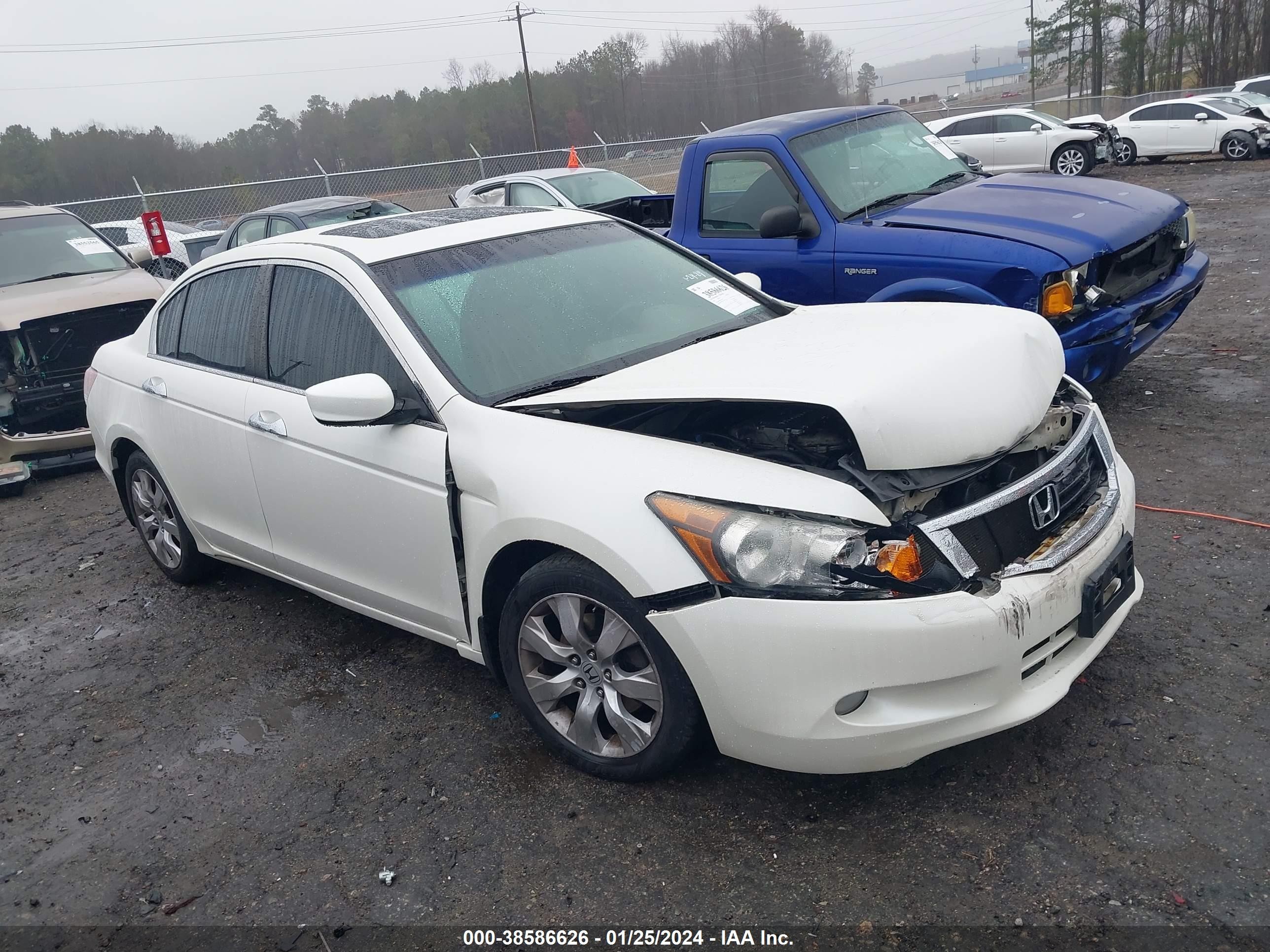 HONDA ACCORD 2009 1hgcp36869a049834