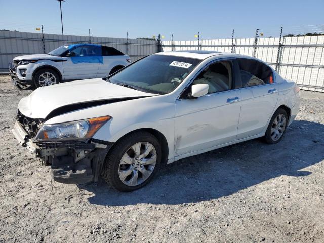 HONDA ACCORD 2008 1hgcp36878a041434