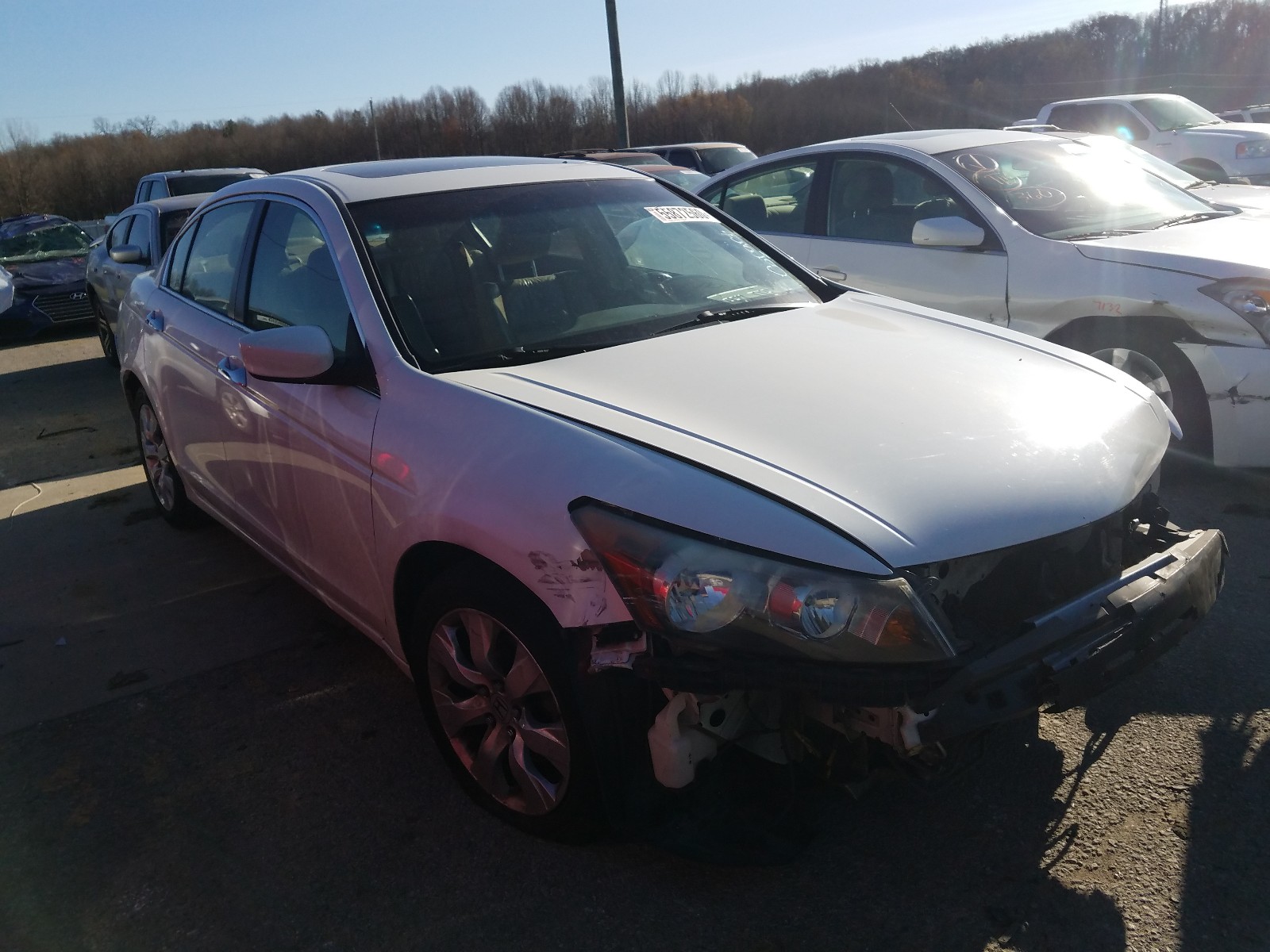 HONDA ACCORD EXL 2008 1hgcp36878a049498