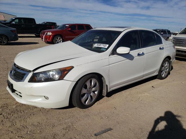 HONDA ACCORD 2009 1hgcp36879a029883