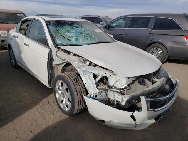 HONDA ACCORD EXL 2009 1hgcp36879a049924