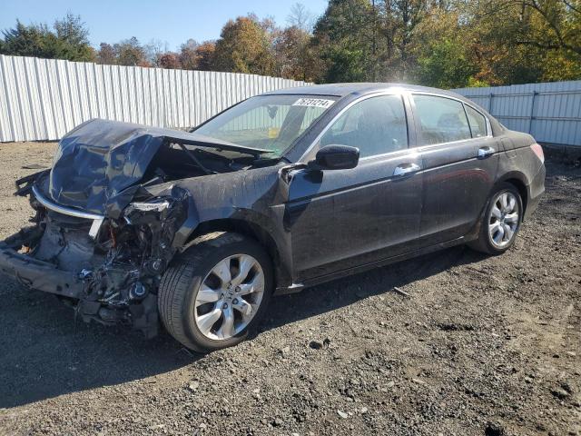 HONDA ACCORD EXL 2008 1hgcp36888a020365