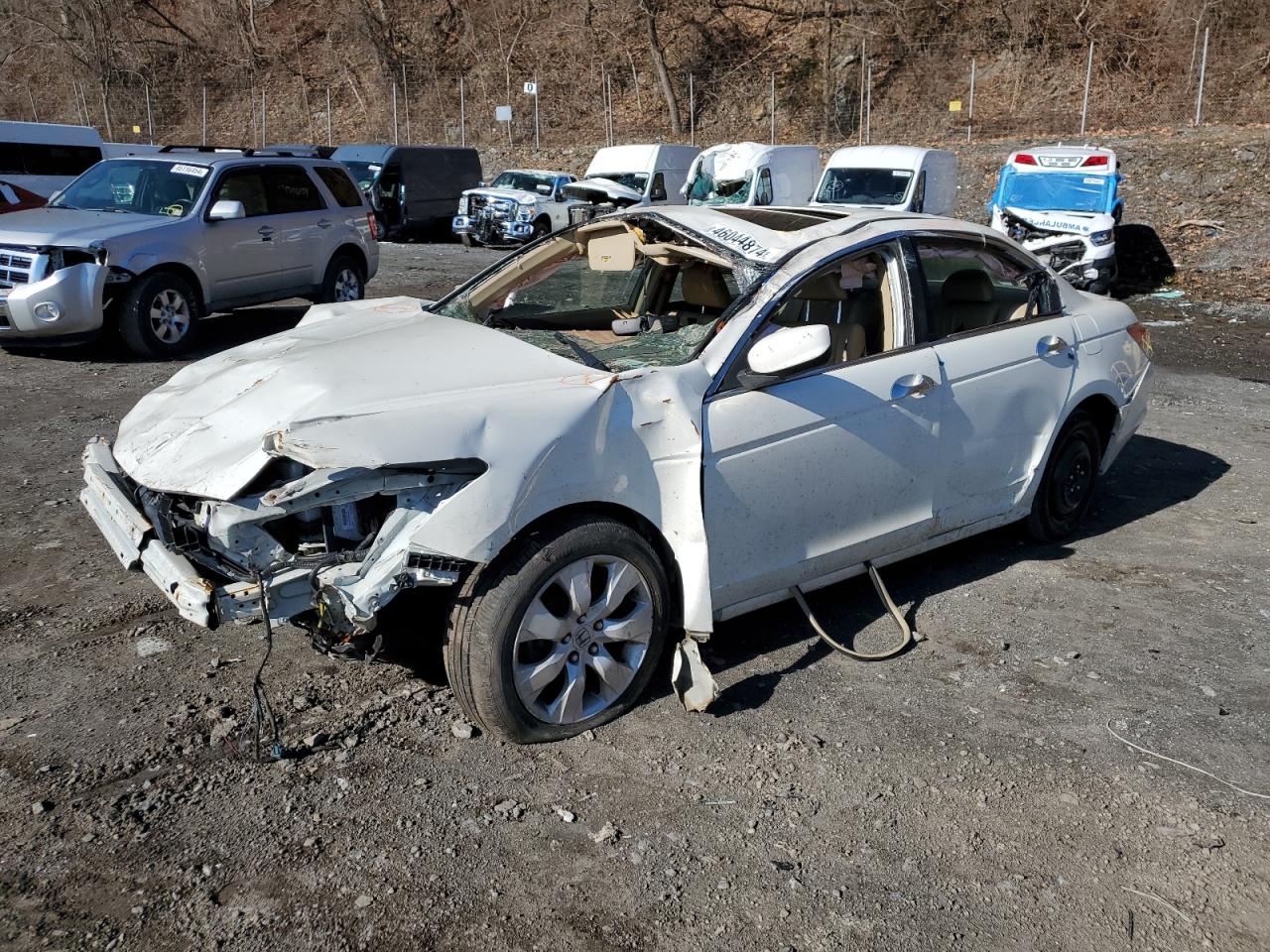 HONDA ACCORD 2009 1hgcp36889a002515