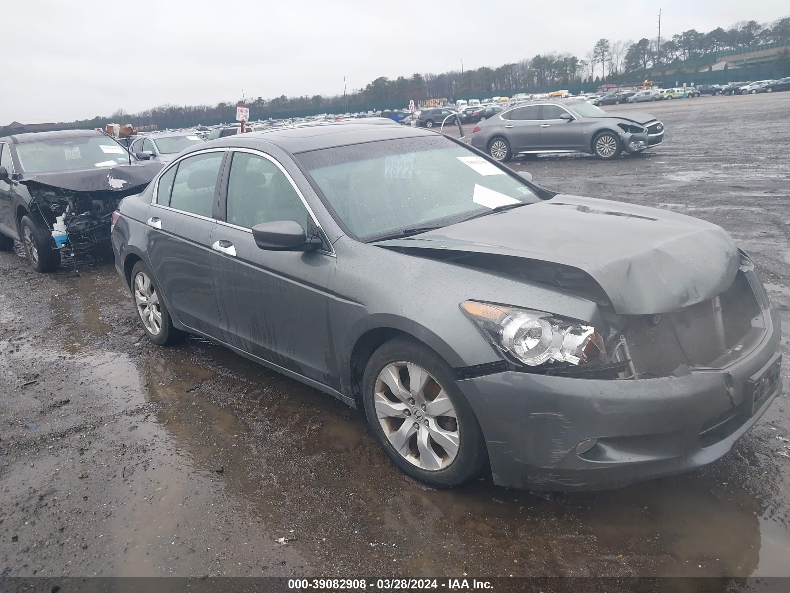 HONDA ACCORD 2009 1hgcp36889a027088