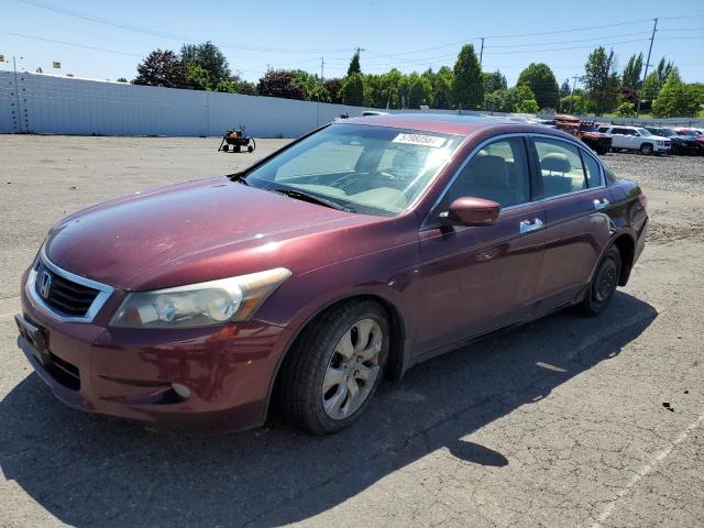 HONDA ACCORD 2009 1hgcp36889a051665