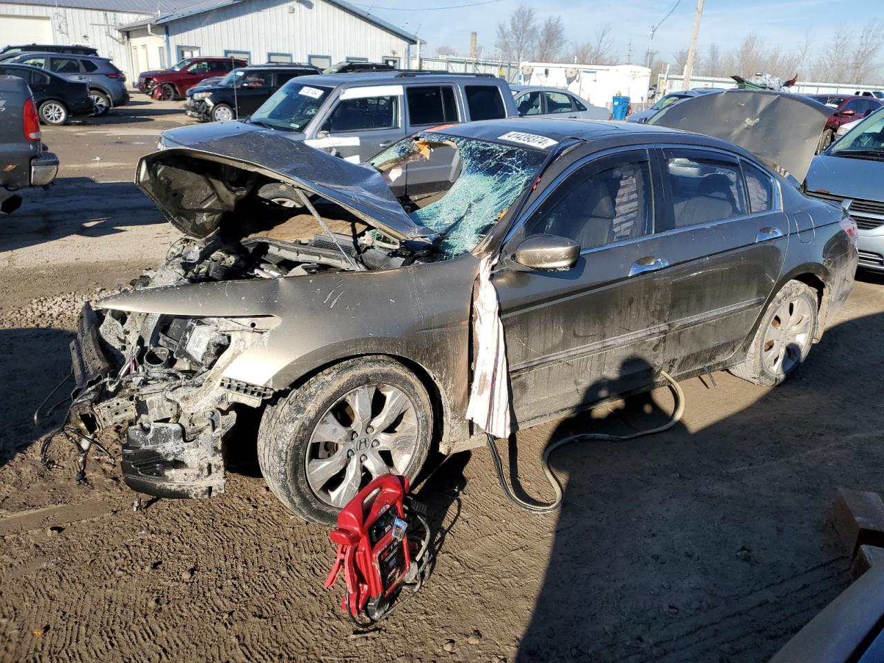 HONDA ACCORD 2008 1hgcp36898a013795