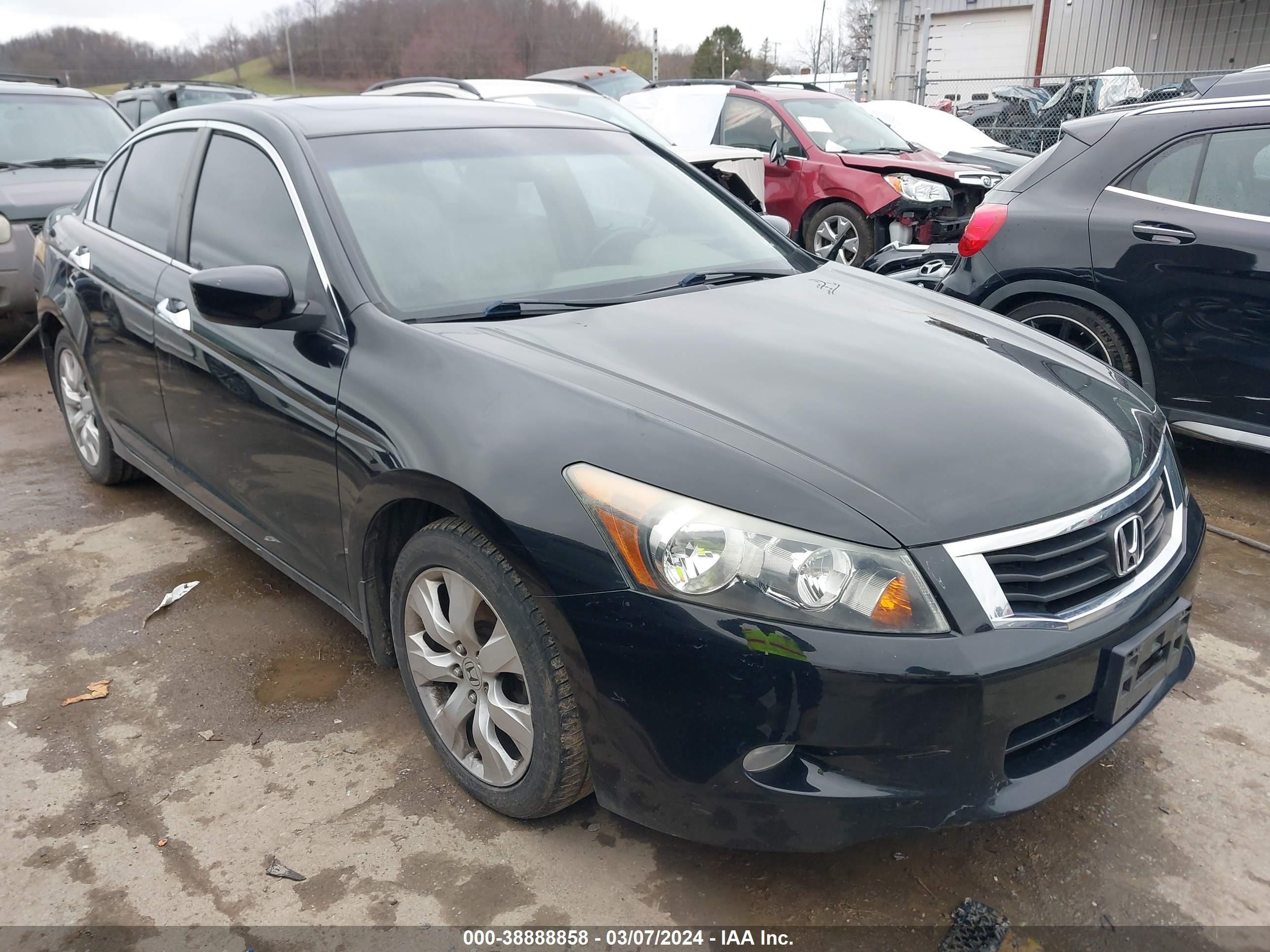 HONDA ACCORD 2009 1hgcp36899a033028