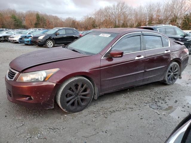 HONDA ACCORD 2008 1hgcp368x8a029195