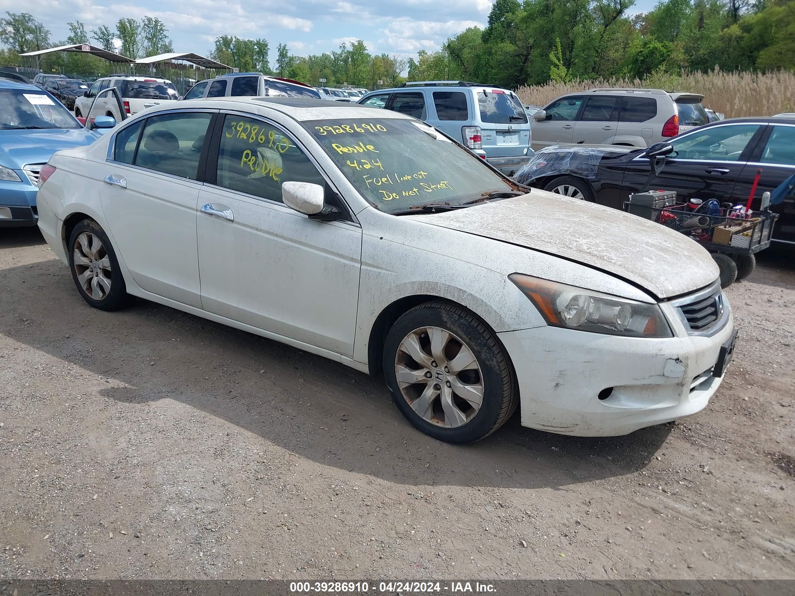 HONDA ACCORD 2008 1hgcp368x8a076985