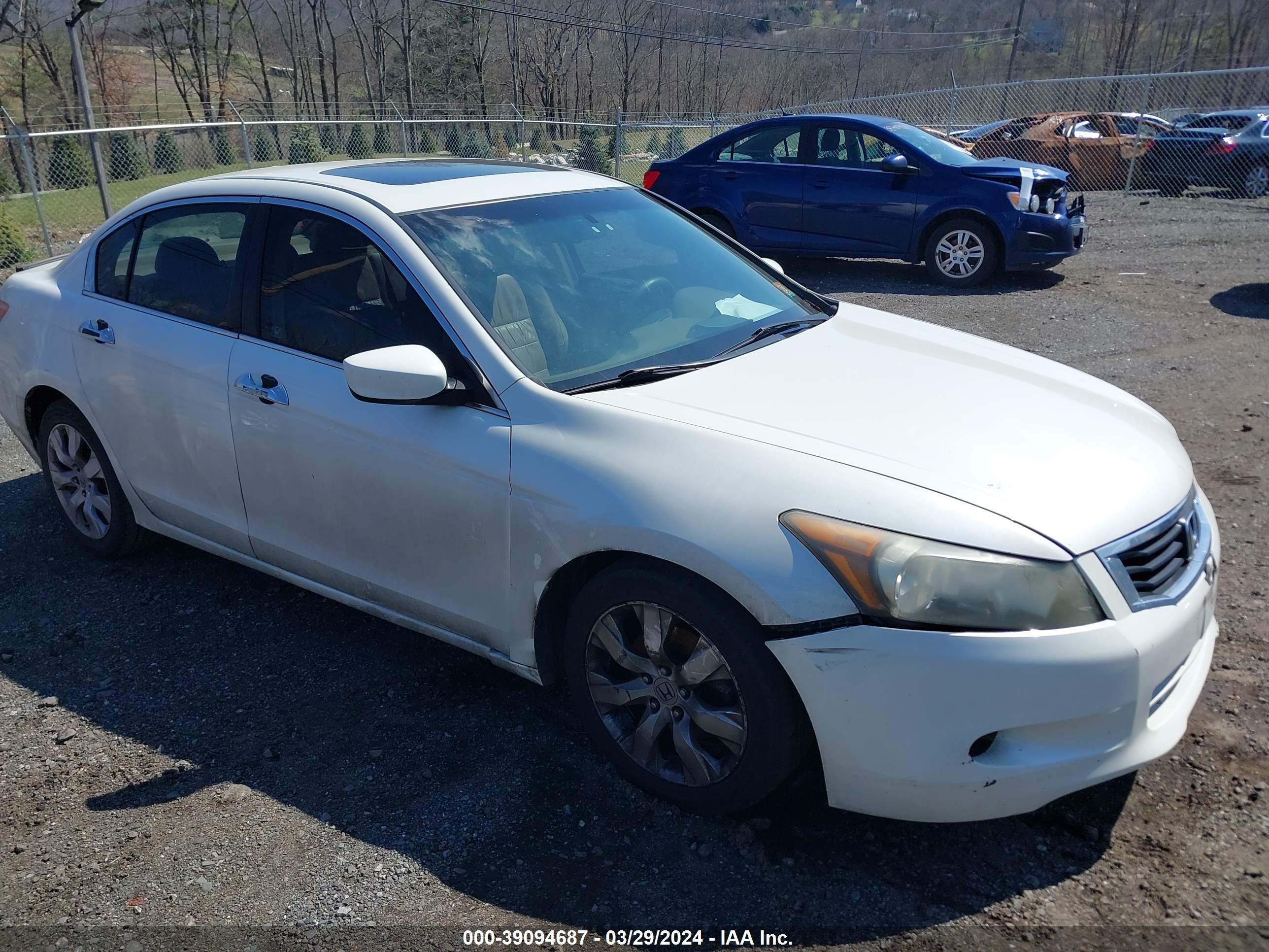 HONDA ACCORD 2009 1hgcp368x9a025763