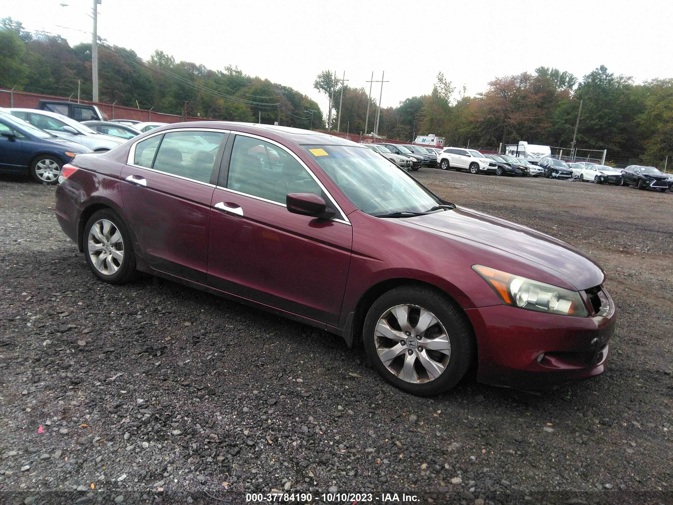 HONDA ACCORD 2009 1hgcp368x9a035998