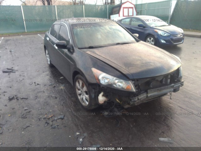 HONDA ACCORD SDN 2010 1hgcp3f70aa022916