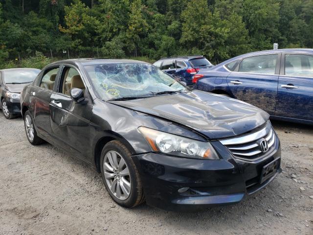 HONDA ACCORD EX 2011 1hgcp3f71ba031268