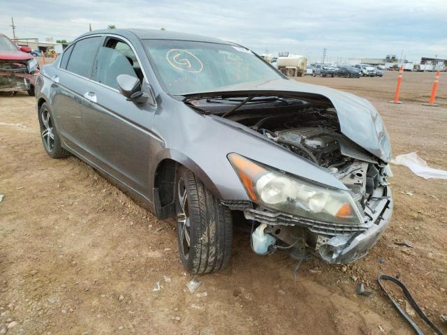 HONDA ACCORD EX 2010 1hgcp3f73aa029620