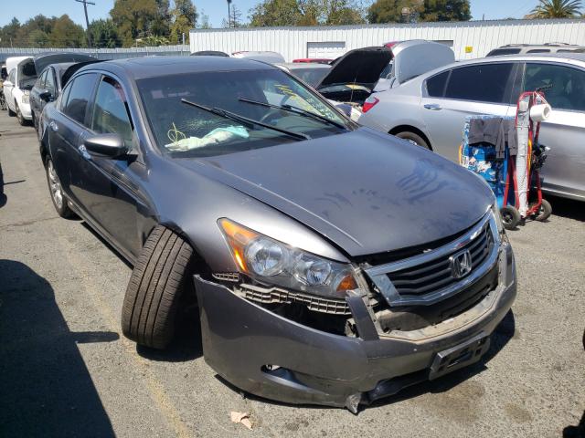 HONDA ACCORD EX 2010 1hgcp3f74aa022692