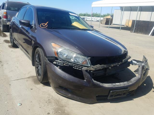 HONDA ACCORD EX 2011 1hgcp3f74ba031460