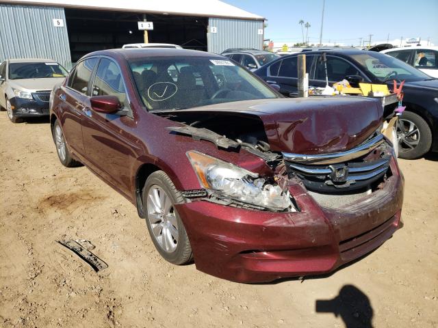 HONDA ACCORD EX 2011 1hgcp3f75ba022010