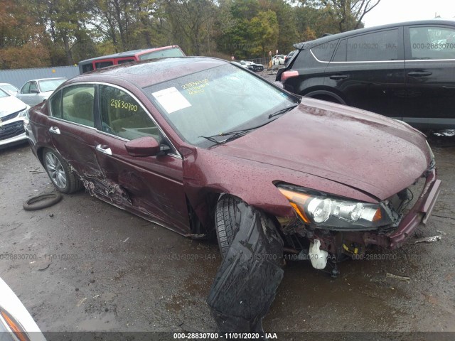 HONDA ACCORD SDN 2011 1hgcp3f76ba002350