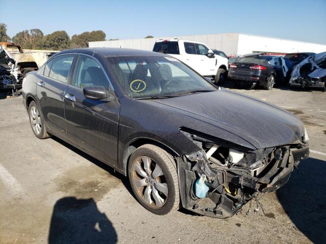 HONDA ACCORD EX 2010 1hgcp3f79aa020100