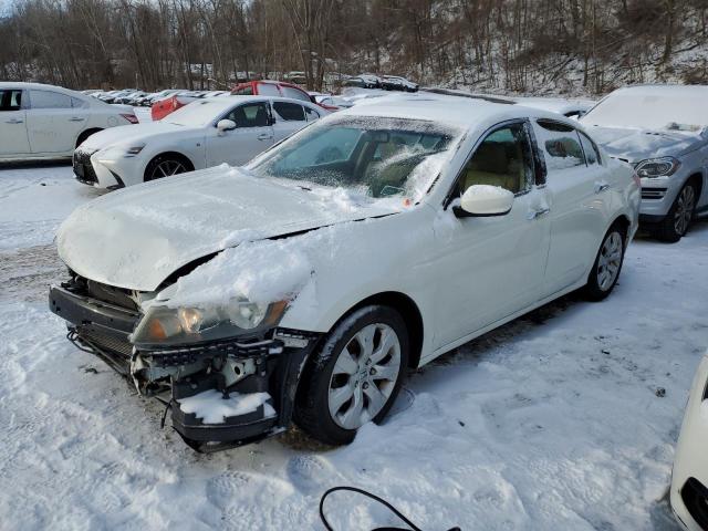 HONDA ACCORD 2010 1hgcp3f80aa000813