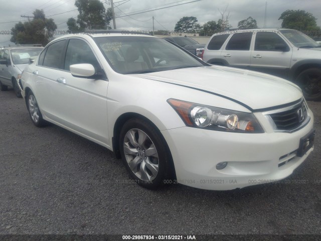 HONDA ACCORD SDN 2010 1hgcp3f80aa001024