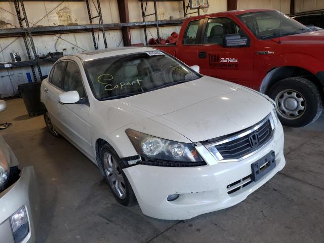 HONDA ACCORD EXL 2010 1hgcp3f80aa002061