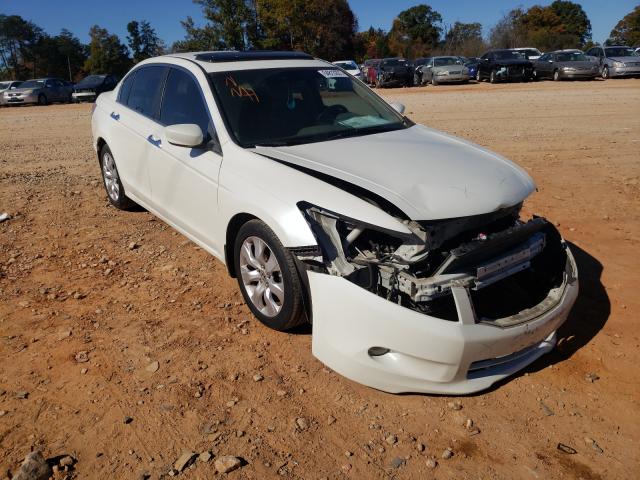 HONDA ACCORD EXL 2010 1hgcp3f80aa004411