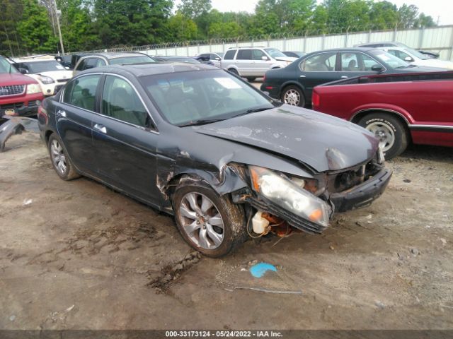 HONDA ACCORD SDN 2010 1hgcp3f80aa006241