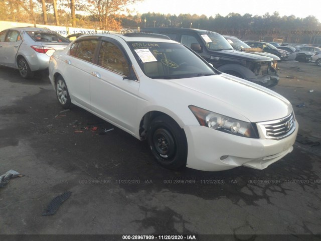 HONDA ACCORD SDN 2010 1hgcp3f80aa013500