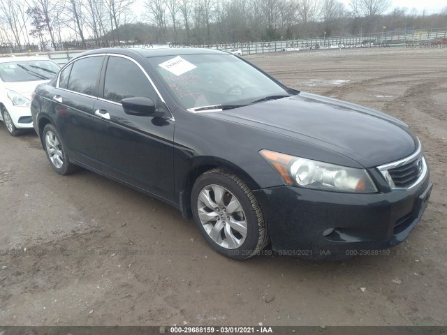 HONDA ACCORD SDN 2010 1hgcp3f80aa014016