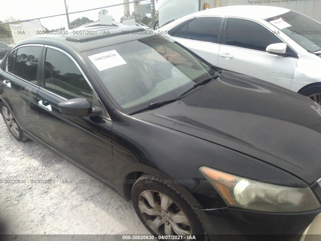 HONDA ACCORD SDN 2010 1hgcp3f80aa015635