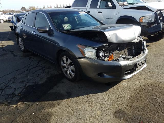 HONDA ACCORD EXL 2010 1hgcp3f80aa018163