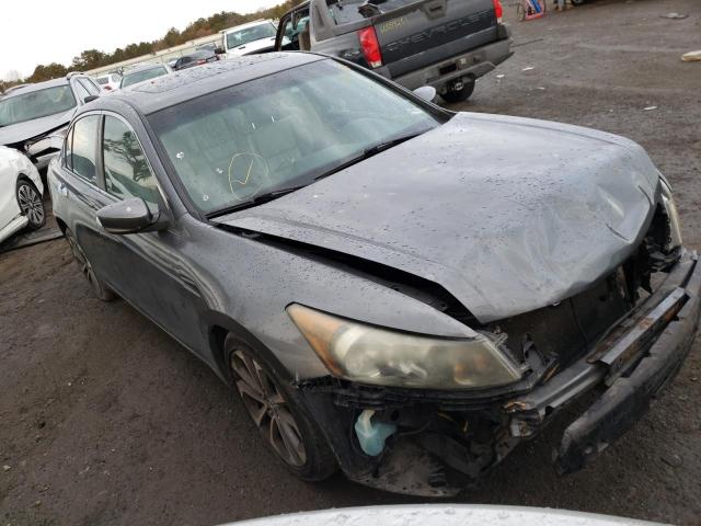 HONDA ACCORD EXL 2010 1hgcp3f80aa019233