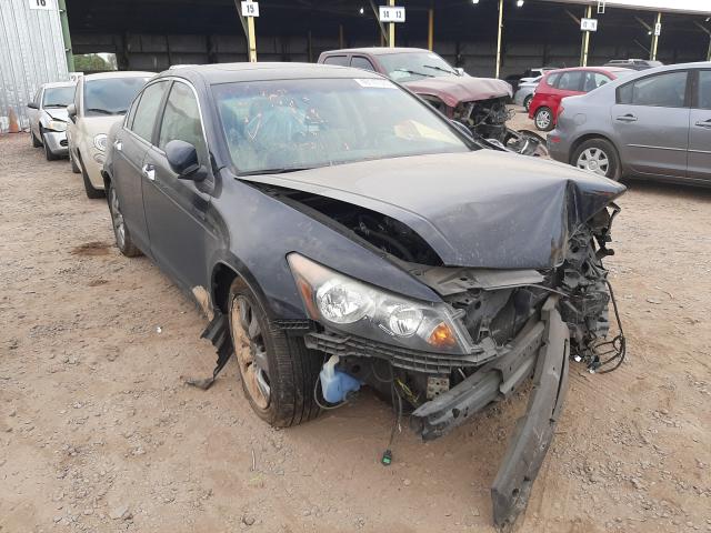 HONDA ACCORD EXL 2010 1hgcp3f80aa023718