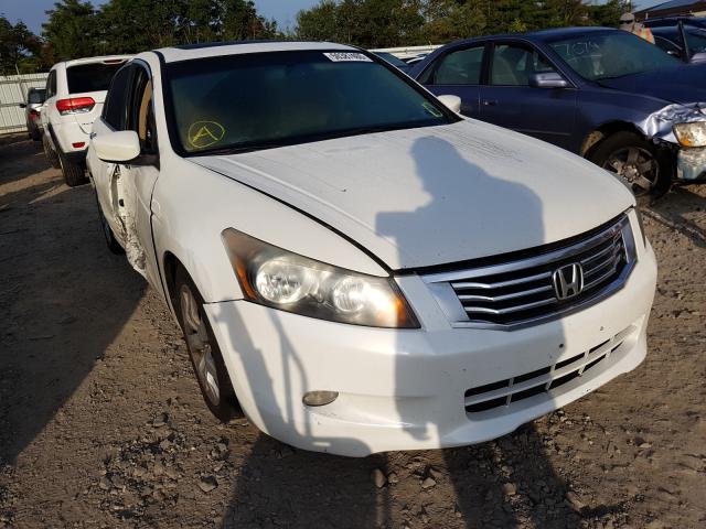 HONDA ACCORD EXL 2010 1hgcp3f80aa026344