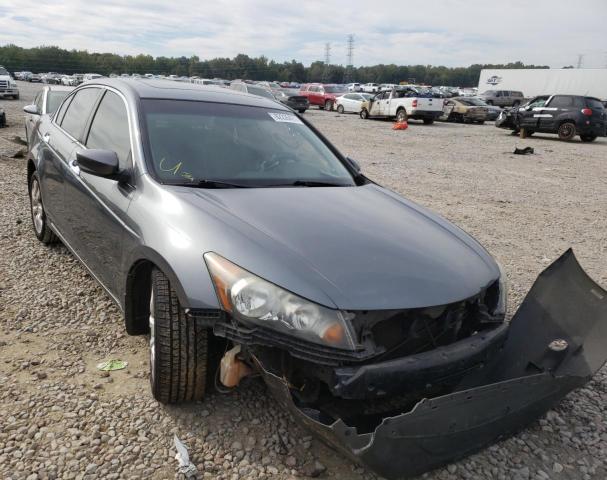 HONDA ACCORD EXL 2010 1hgcp3f80aa030328