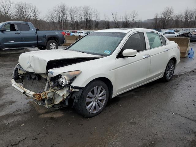 HONDA ACCORD EXL 2011 1hgcp3f80ba000246