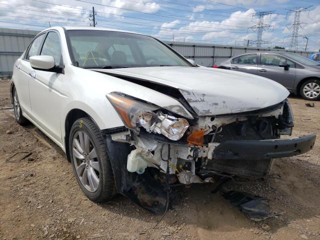 HONDA ACCORD EXL 2011 1hgcp3f80ba001798