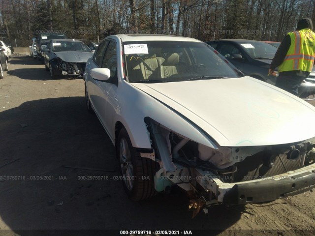 HONDA ACCORD SDN 2011 1hgcp3f80ba003731